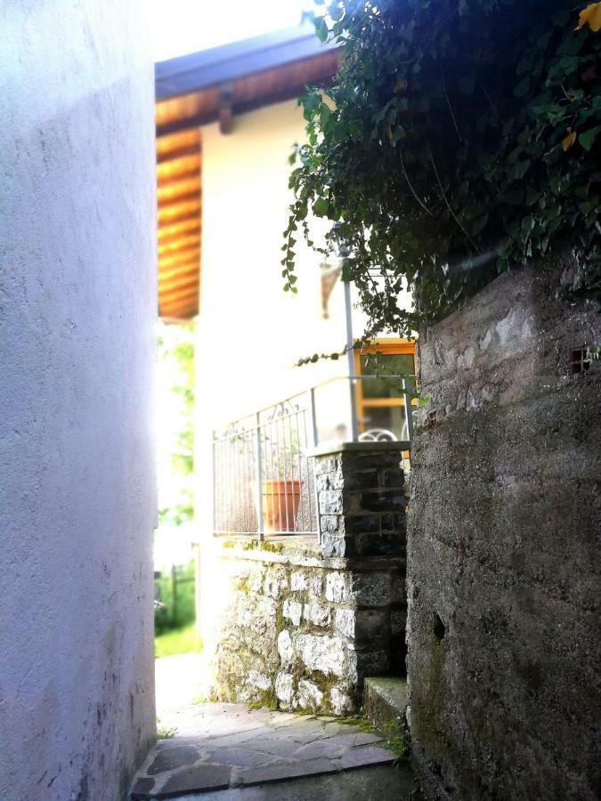 Rustico Vista Lago Apartment Lezzeno Luaran gambar